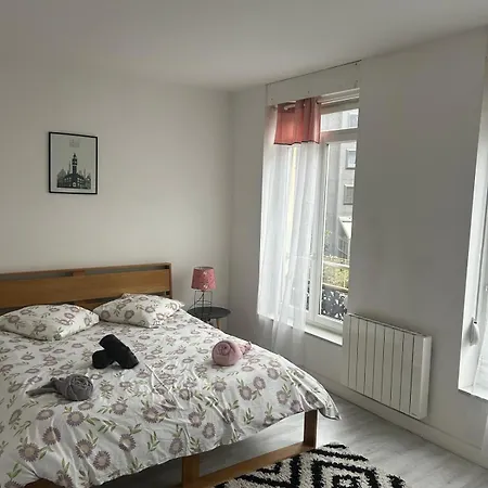 Apartment Poppy-ideally Located, Next Station,gd Palais&city Lille